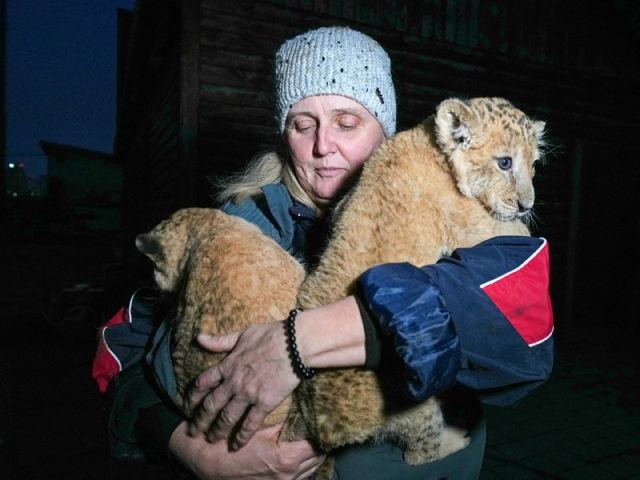 Мариупольский зоопарк «Парк дикой природы»